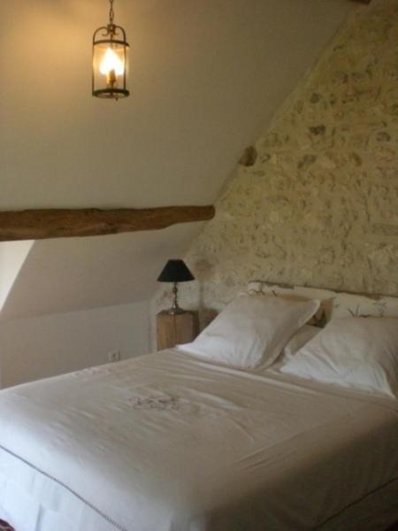 La Touche Bed and Breakfast Menetou-sur-Nahon Habitación foto