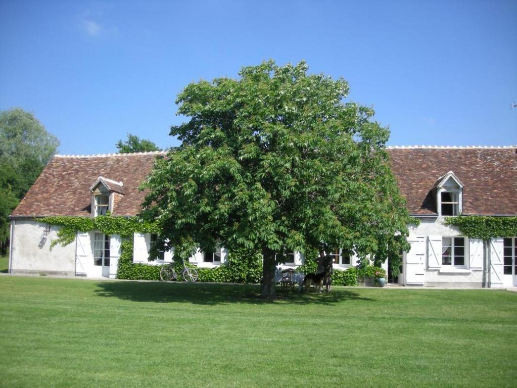 La Touche Bed and Breakfast Menetou-sur-Nahon Exterior foto
